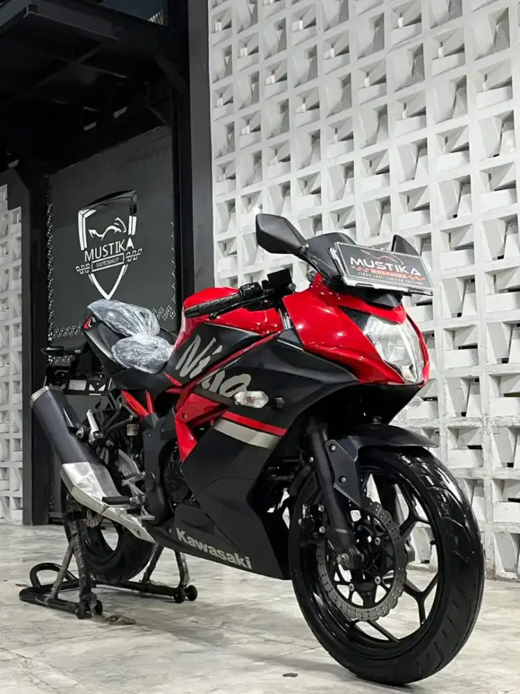 KAWASAKI NINJA 250 SLMONO 2019 -Chintia Mustika