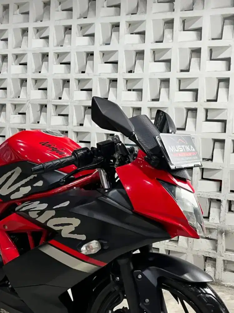 KAWASAKI NINJA 250 SLMONO 2019-Chintia Mustika