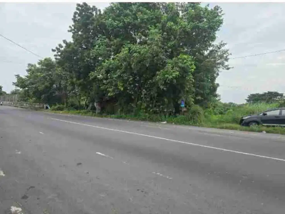 Tanah Murah & Strategis Raya Bangil ke Pandaan Nol Jalan Raya