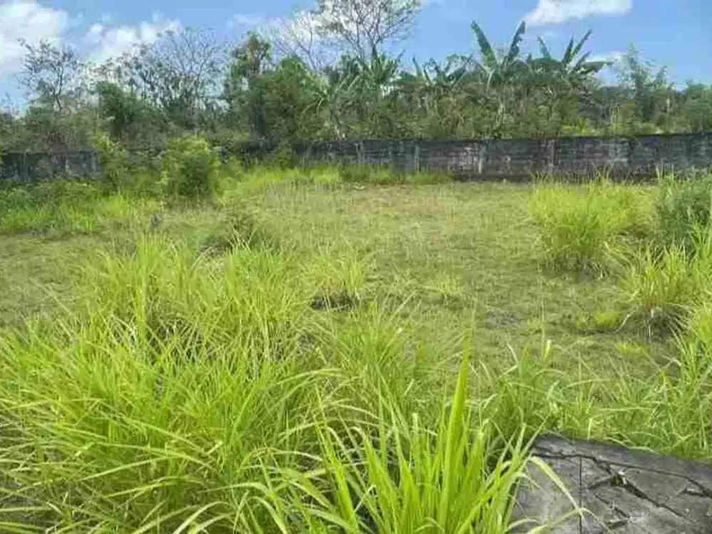 tanah plot Kecil 550m² IDR 950 jt/are Kawasan pantai Balangan Jimbaran Kuta Selatan Badung Bali