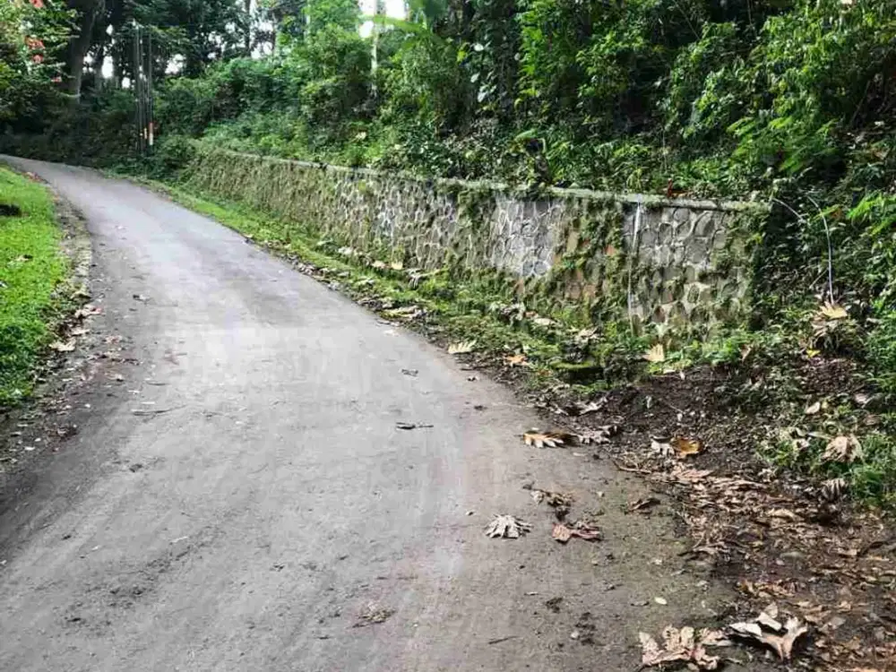 Dijual Tanah Murah dbwh hrg pasaran Rp.850rb/m.dkt Chayana Resort,Villatel Salse.Dago Pagerwangi. SHM. Msk Mobil. Cck utk Cafe, Villa atau dijual lagi.