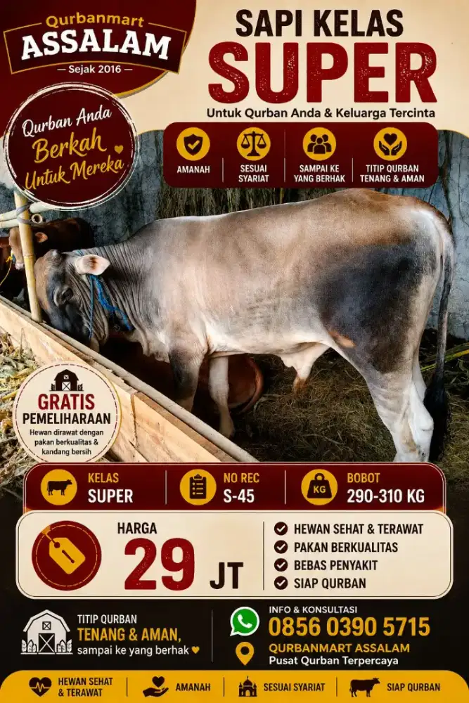 Hewan qurban sesuai syari'at domba dan sapi.