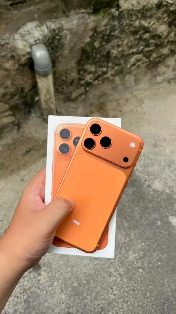 17 Promax 512 Orange iBox