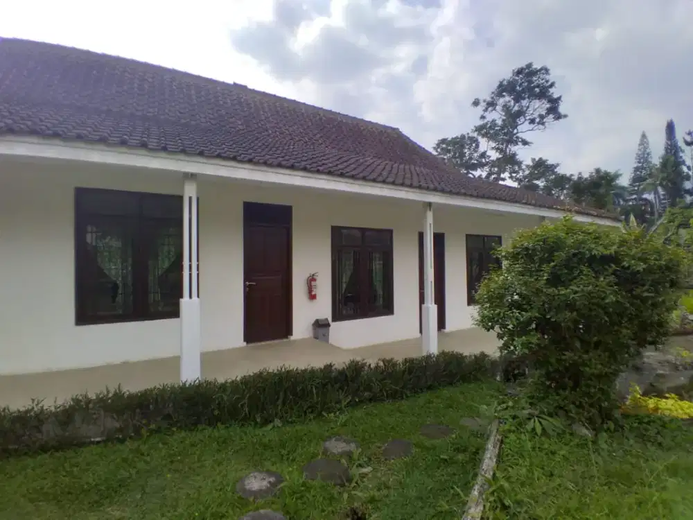 DI CARI ART Menginap