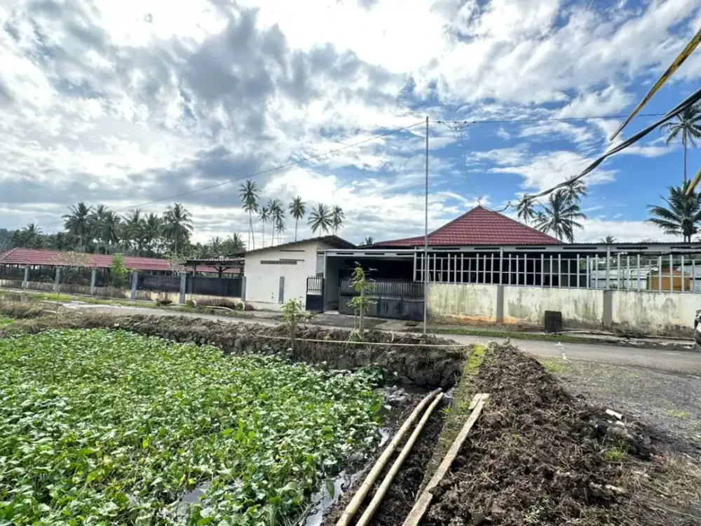 Dijual Villa Tomohon Sulawesi Tengah via Lelang