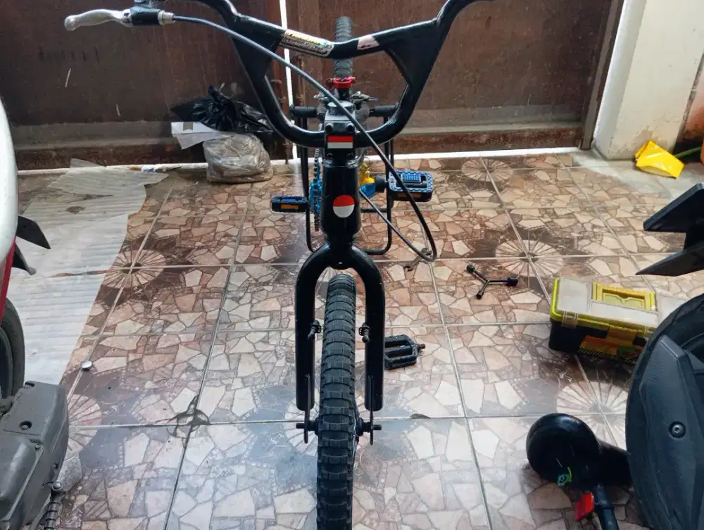Sepeda BMX exotic