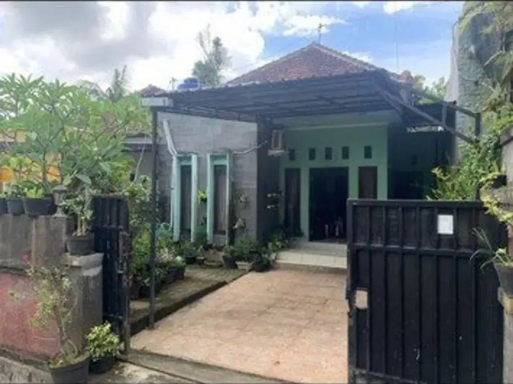 Rumah Bagus 3 Kamar Tidur Dijual di Sading, Mengwi Area