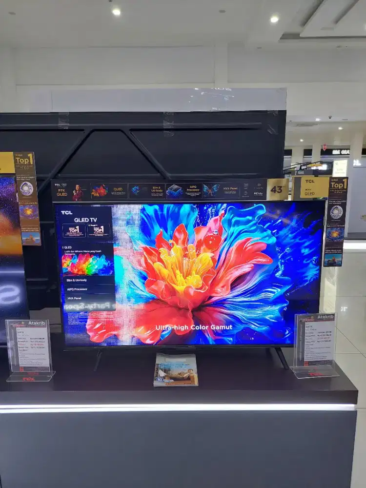 PROMO FESTIVAL CHAMPION TV TCL