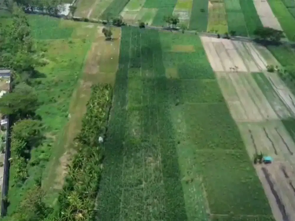 Dijual Cepat Lahan Zona Industri Lokasi Super Strategis Ceper,Klaten Luas 4,5 Ha BU!!
