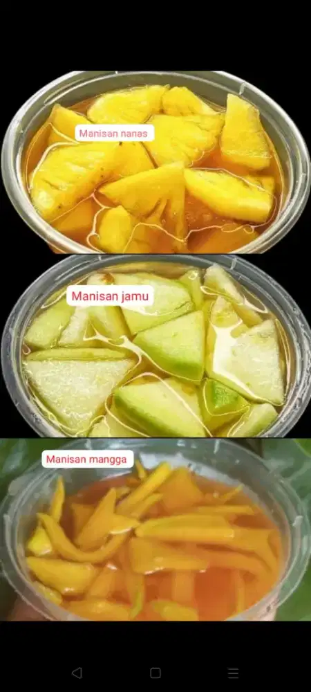 Open reseller manisan mangga
