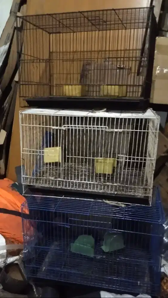 Kandang burung sugar glider ayam dst