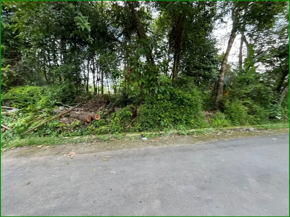 Tanah Dijual Jogja di Tirtomartani Dekat JL. Jogja-Solo