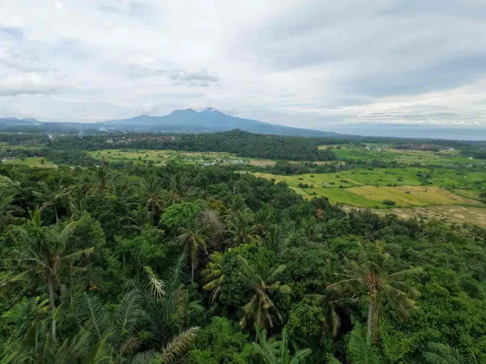 Tanah TERMURAH Candidasa Karang Asem