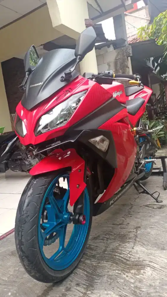 Kawasaki 250 f1