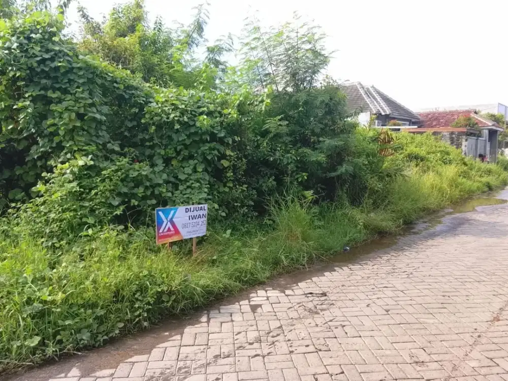 Tanah Tambak Medokan Ayu  SUDAH URUG , Hadap : utara Row : 2,5 mobil