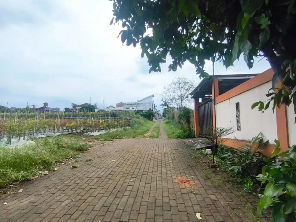 Tanah Luas Merjosari Kota Malang 500 Juta an Cocok Untuk Kost