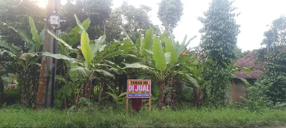 DIJUAL CEPAT (BU)-Tanah SHM Matang 3 menit ke HarvestCity ( Pemilik)