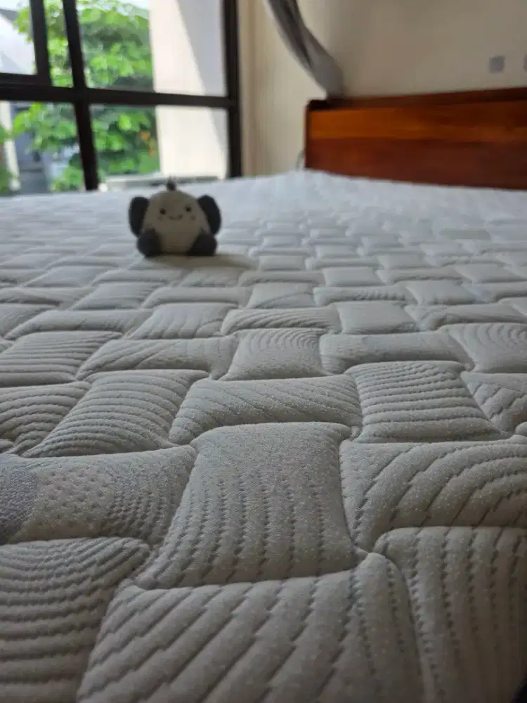 [Kondisi Bagus] Kasur Pocket Spring TURU BOSS (Tertinggi) ukuran Queen