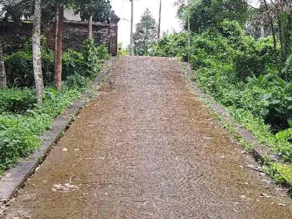 Tanah Sewa dekat Tirtagangga Karangasem Bali