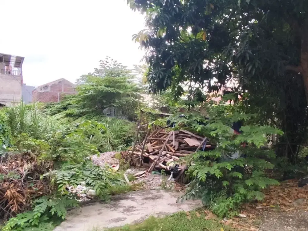Dijual Dan Disewakan Tanah Dekat Dengan Pusat Kota Di Jl. Kenconowungu Dalam Semarang