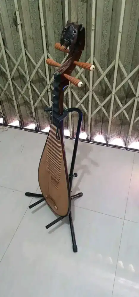 Alat intrumen tradisional petik cina