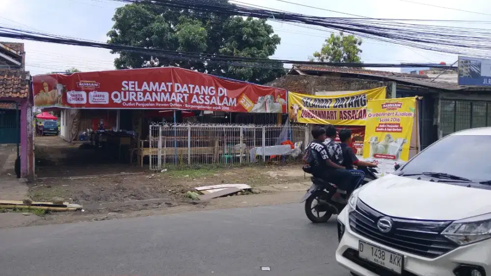 Domba Qurban Sehat Bandung Derwati