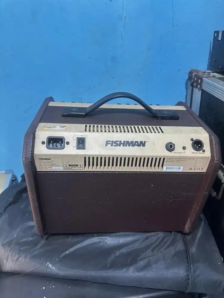 Spiker monitor gitar