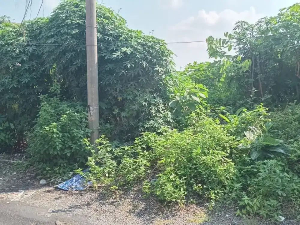 Tanah Siap Bangun daerah Welirang Semarang - 11456