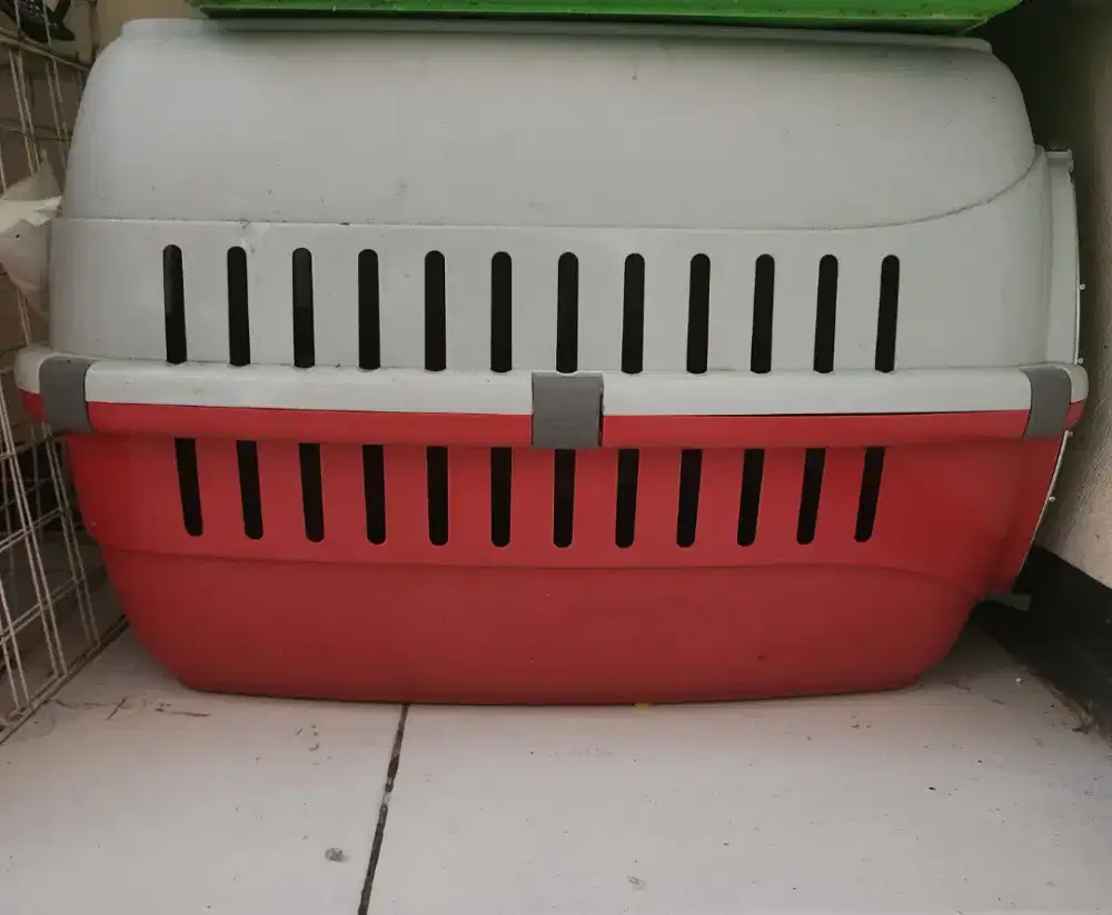 Pet Cargo Kondisi Bagus
