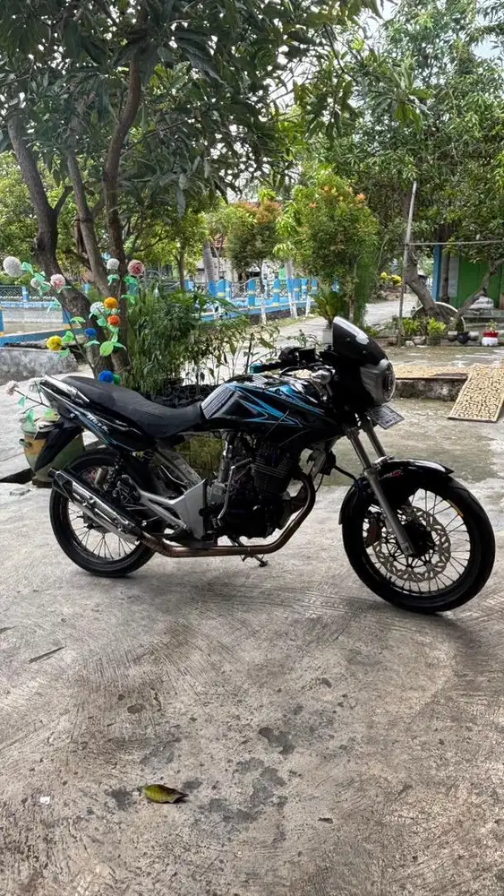 Tiger revo 2007