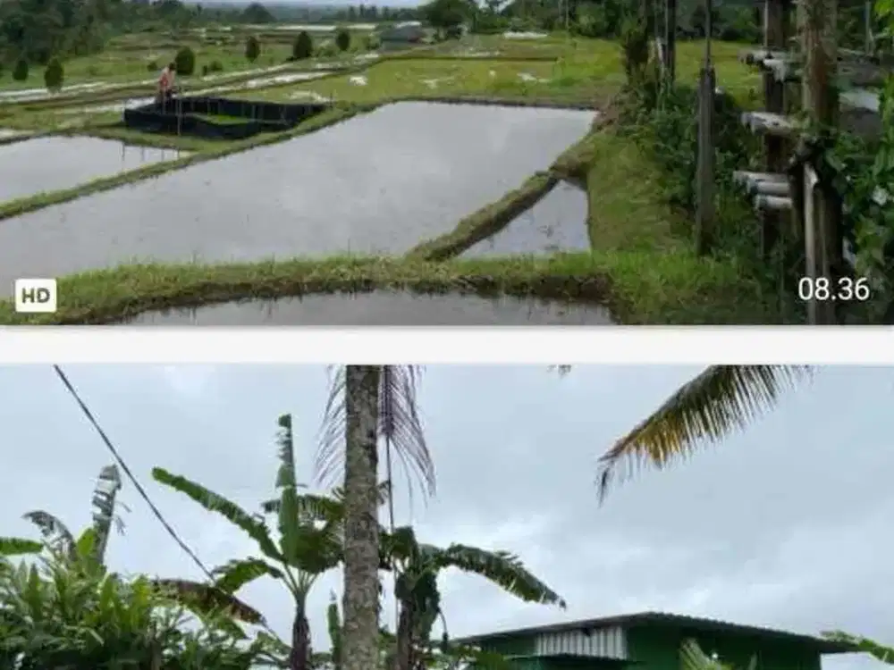 jual tanah penebel Tabanan dekat jatiluwih penebel Tabanan