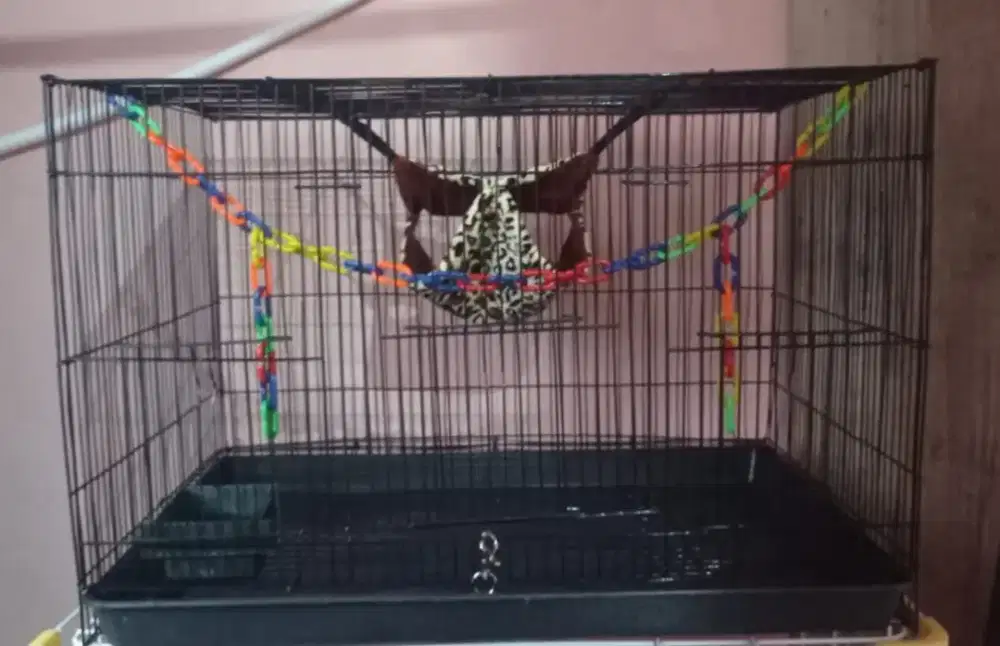 Kandang sugar glider 60X40