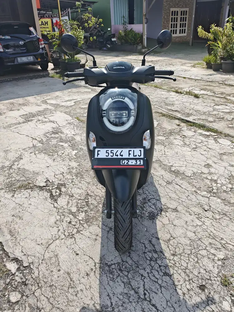 Honda scoopy 2026 new