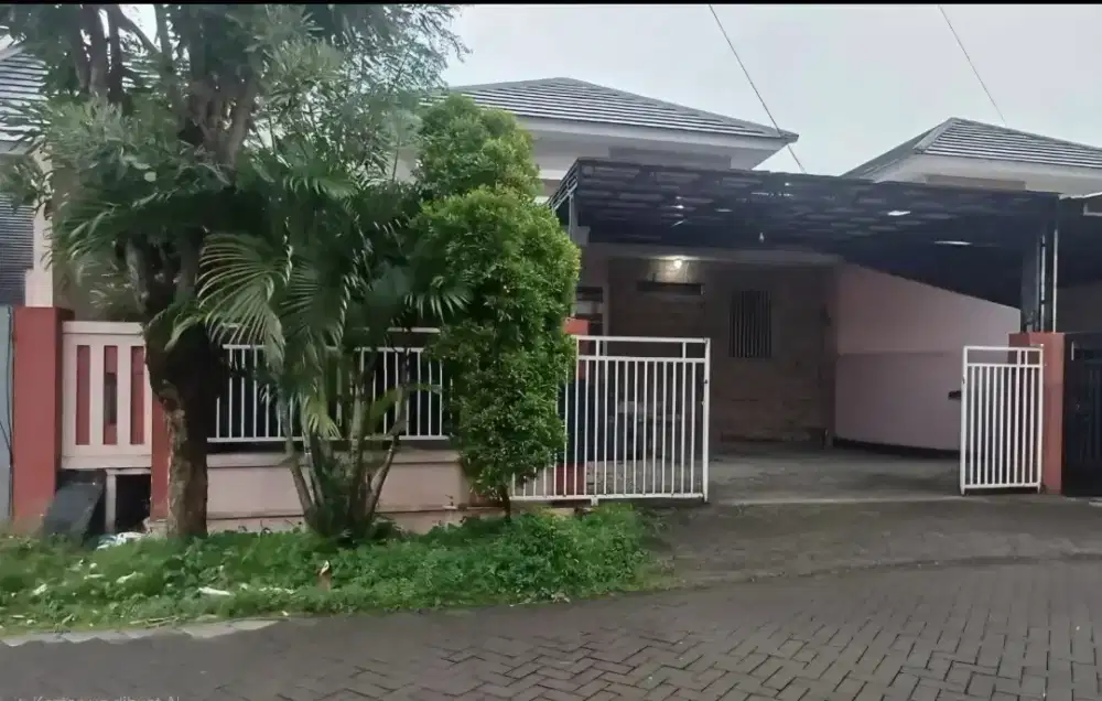 Delta Gardenia 3 no 16