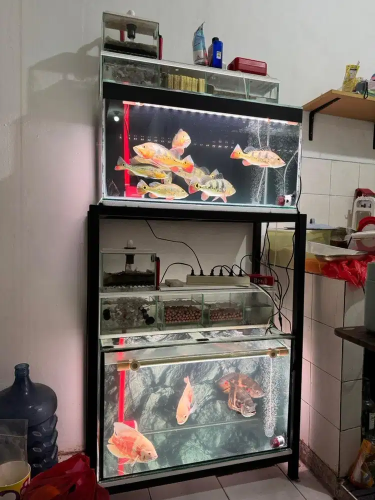 Aquarium Tingkat 80x40x40 Fullset Top Filter ikan hias Akuarium