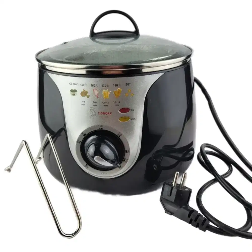 Electric Deep Fryer