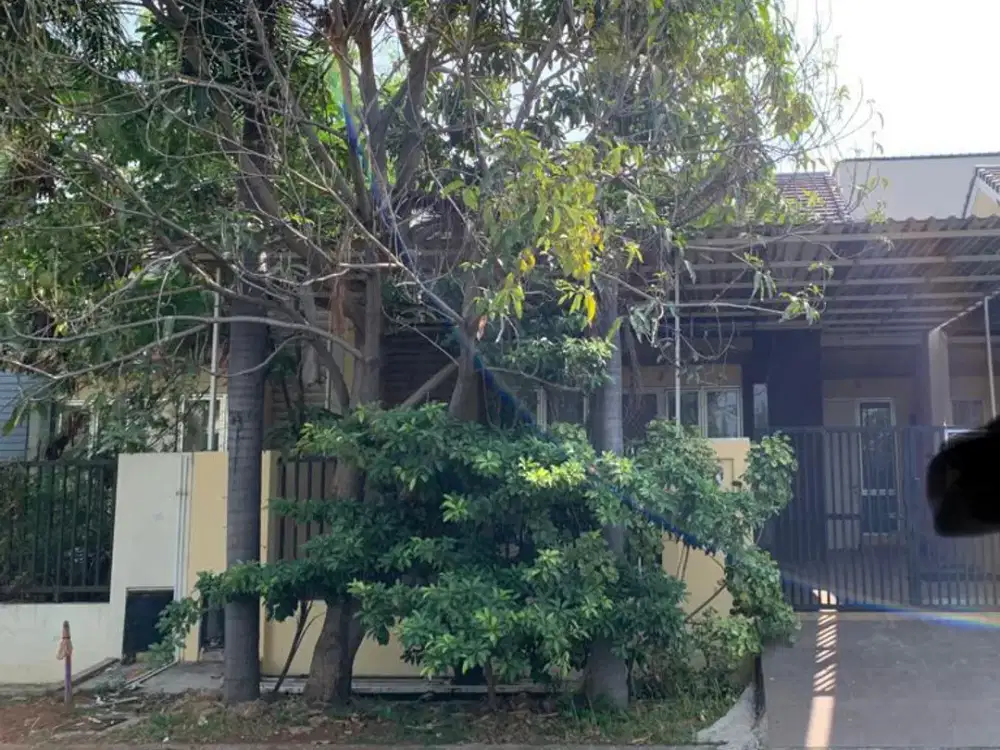 Dijual Cepat Rumah Minimalis Cluster Ifolia Harapan Indah Bekasi
