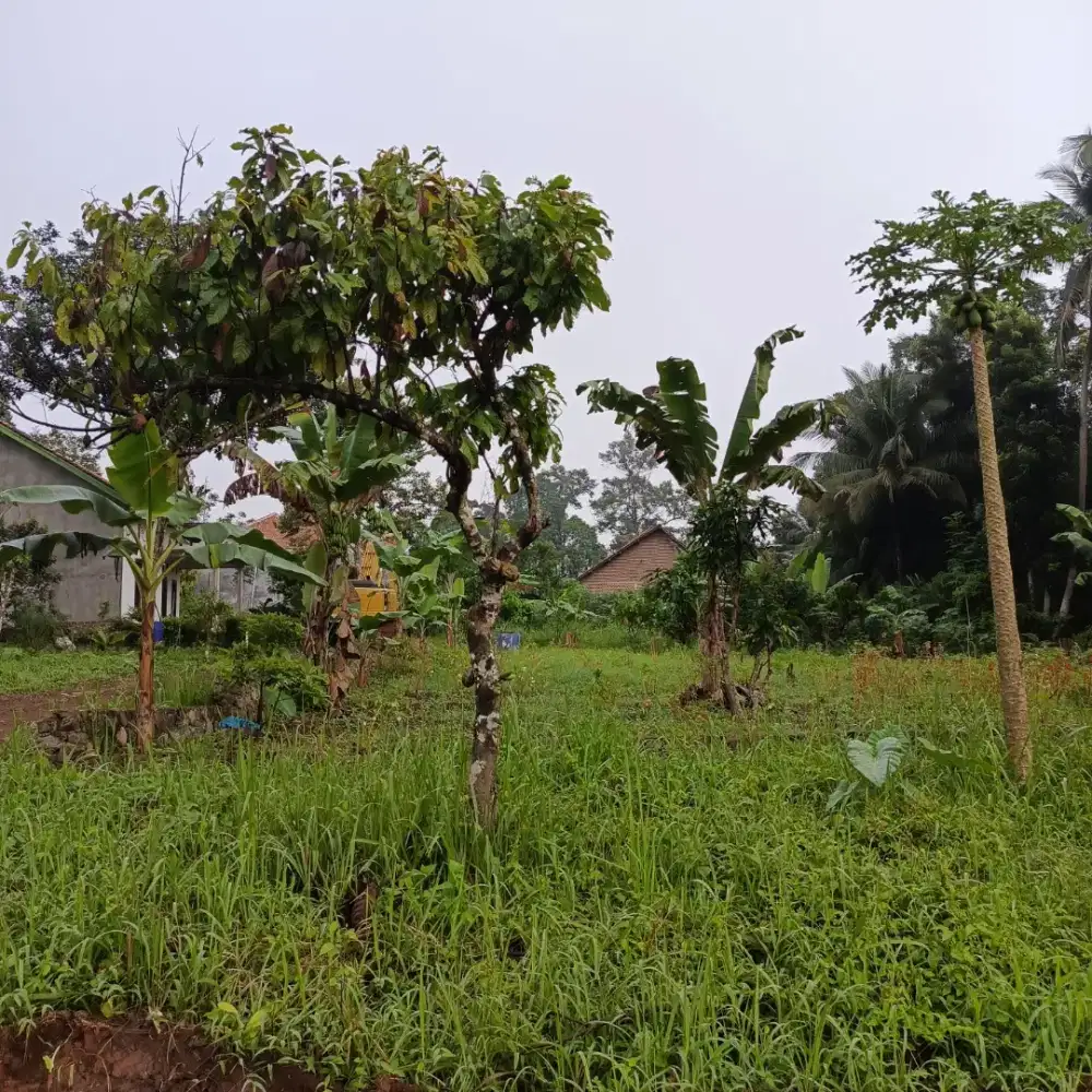 Di jual cepat...