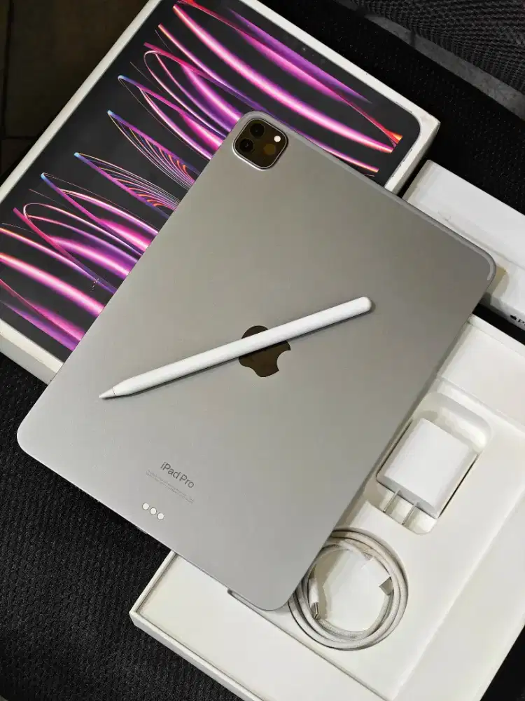 Ipad Pro M2 256 gb wifi + apple pencil Gen 2