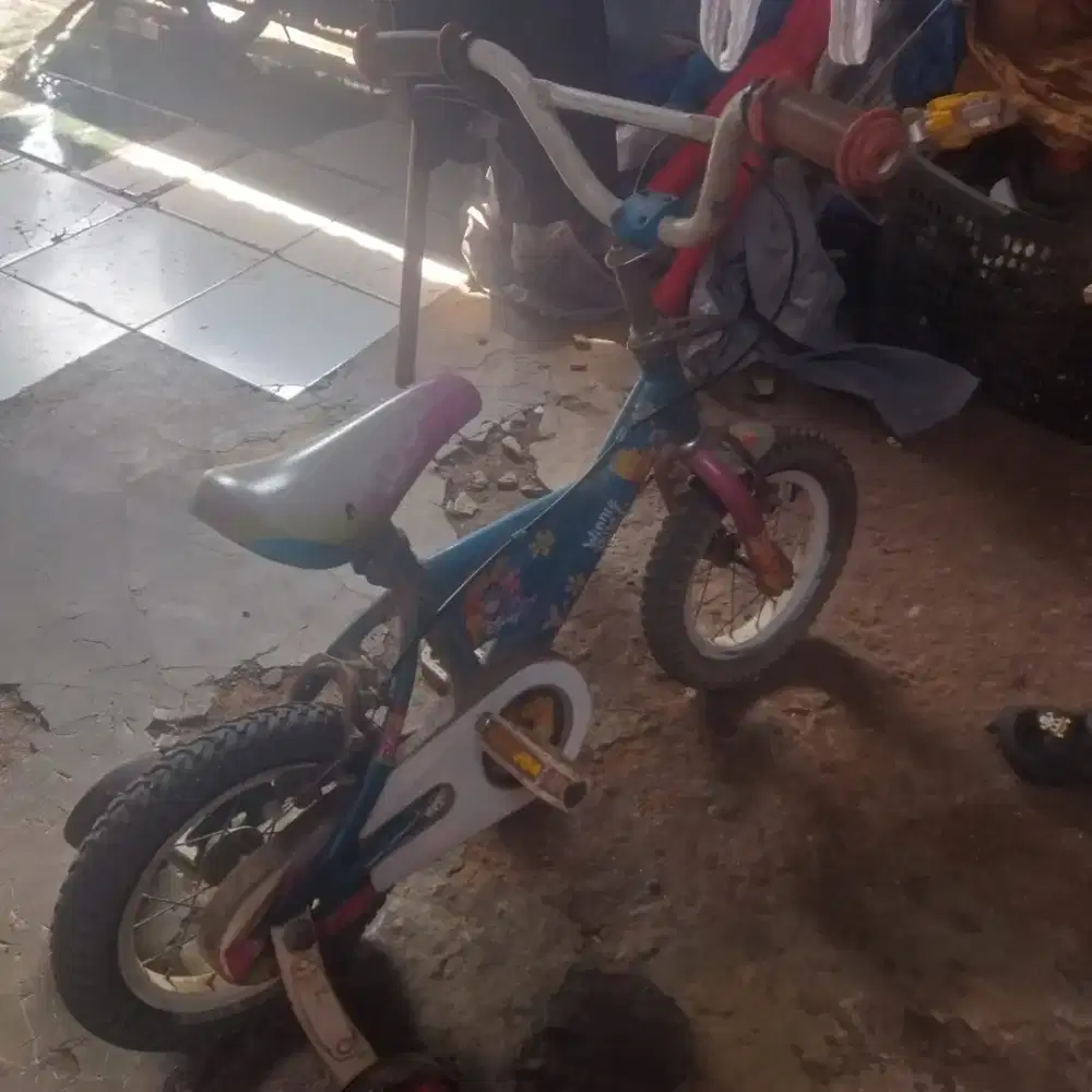 sepeda anak ukuran 12