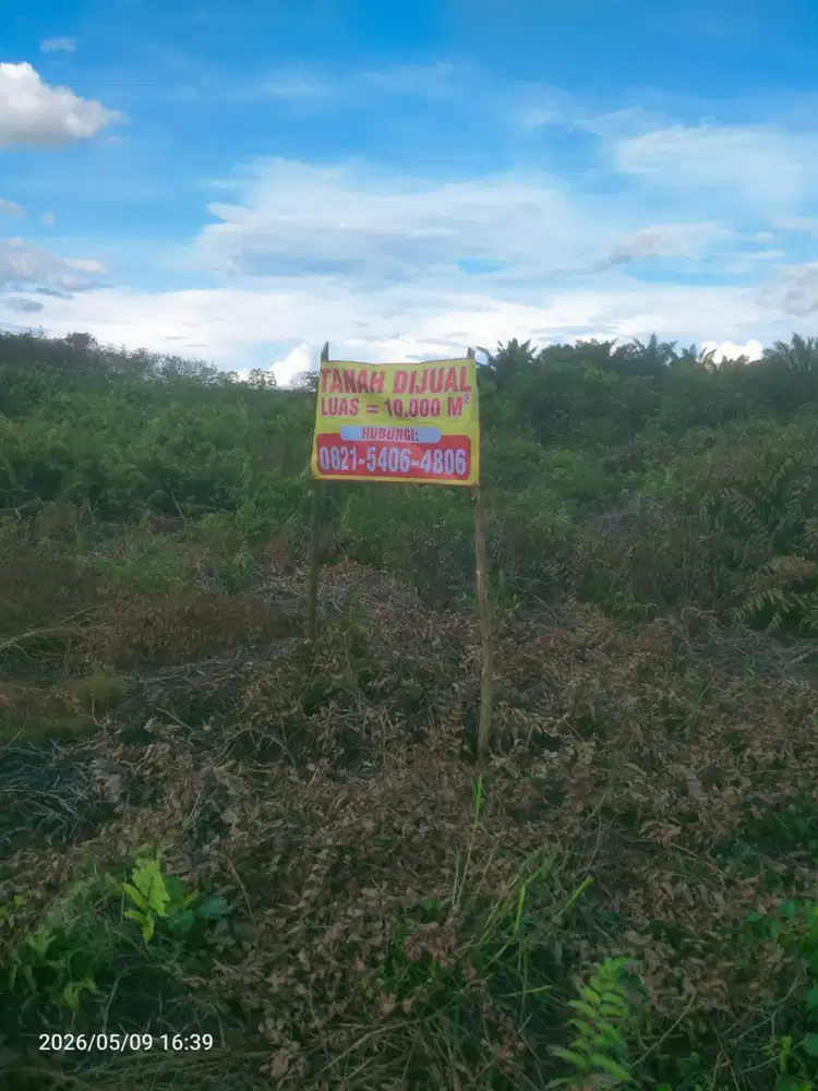 Tanah 1 hektar sudah SHM harga bisa Nego 1 M