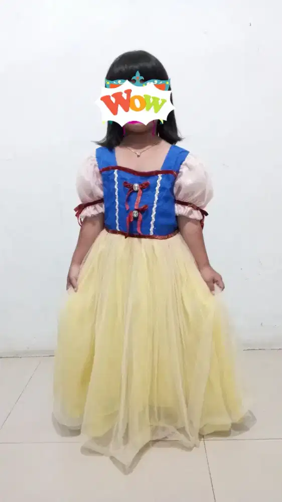 Gaun / kostum / princess