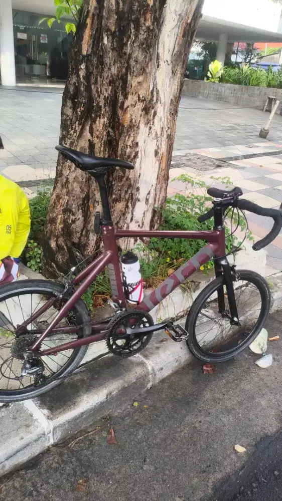 Tern Surge Minivelo