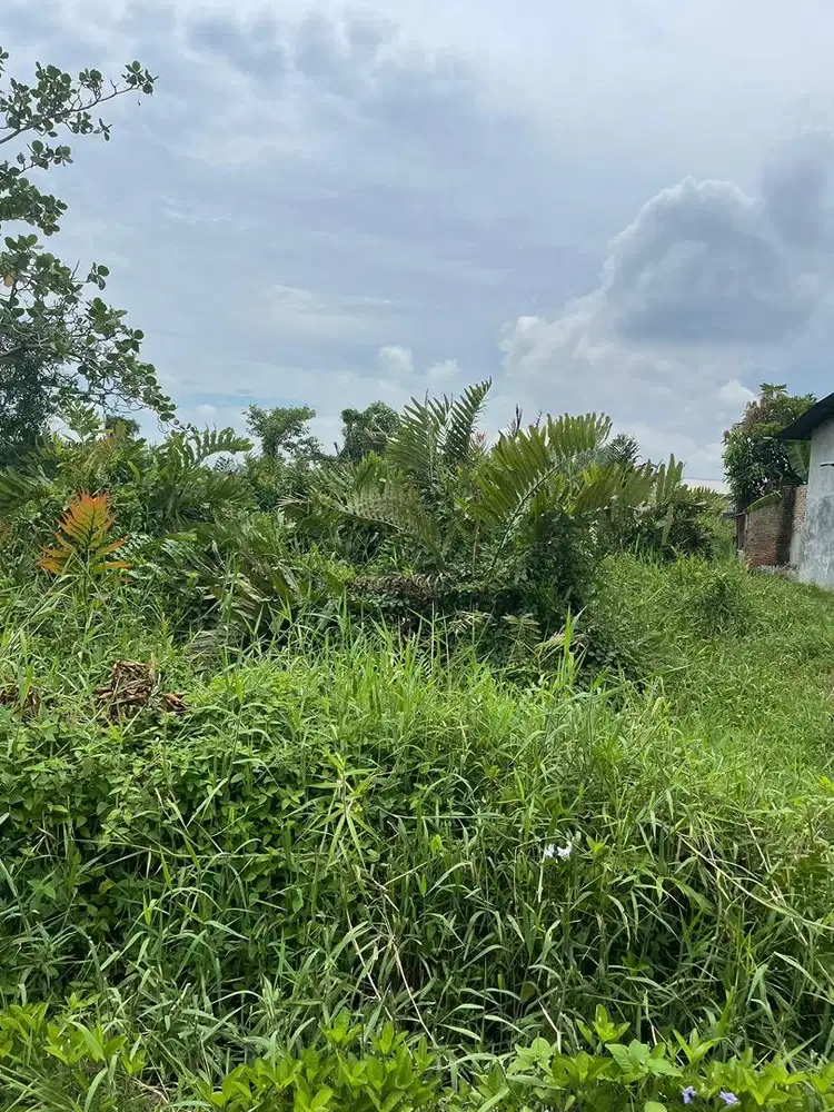 dijual 2 bidang tanah