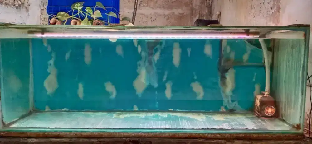 Dijual Aquarium 1,5m