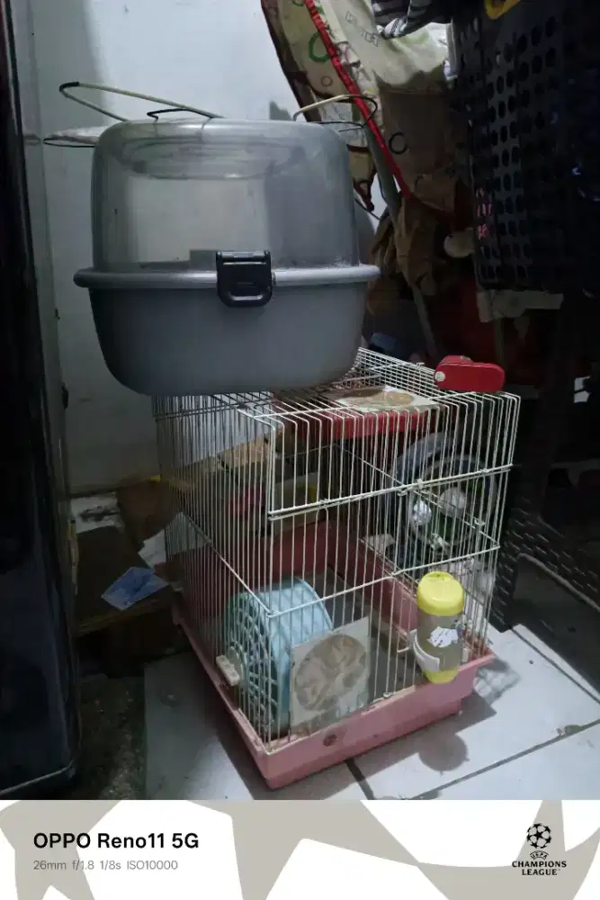 Kandang hamster ada 2