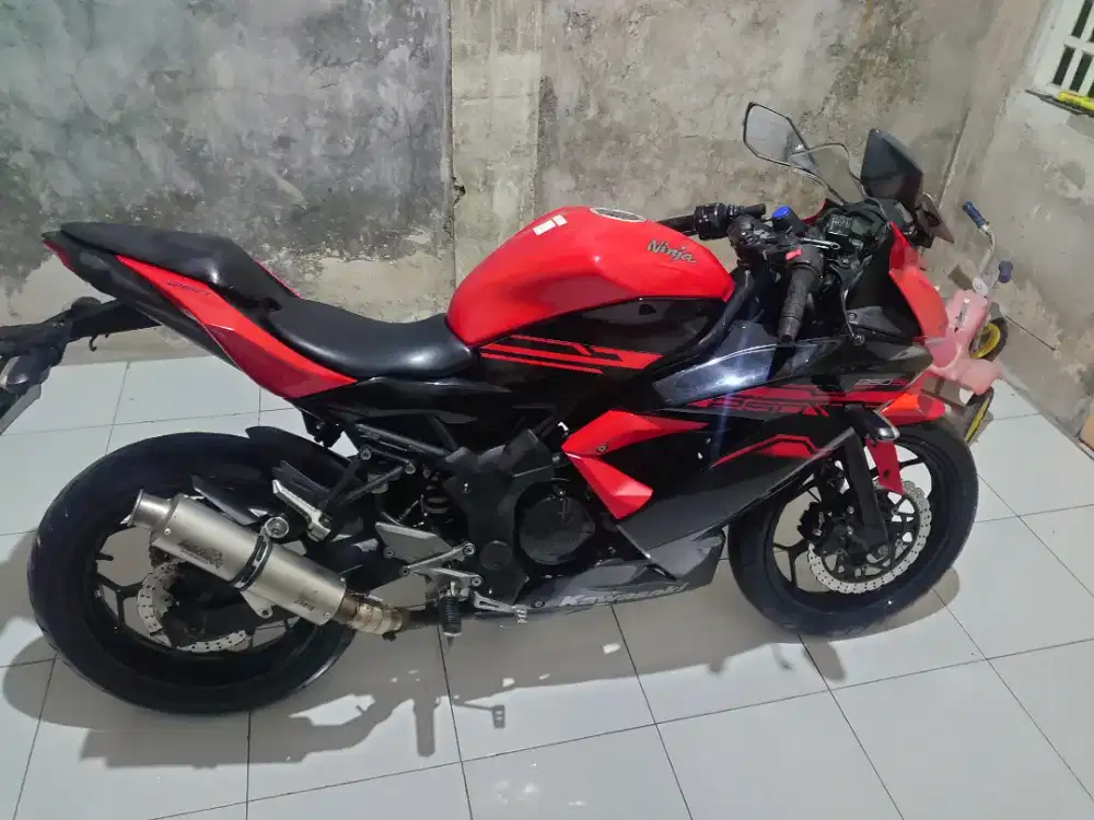 Ninja 250 sl/mono