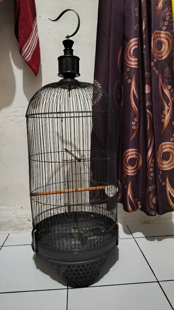 Kandang burung love bird tinggi