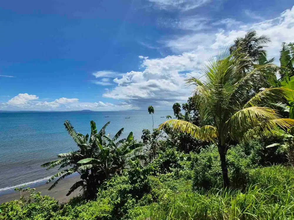 TANAH 4465m2 LOS PANTAI TEBING, DESA CUPEL JEMBRANA BALI