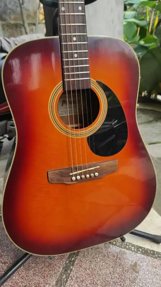 Gitar Akustik Prince WJ-760